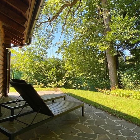 Huette Am Wald Villa Hof bei Salzburg Dış mekan fotoğraf
