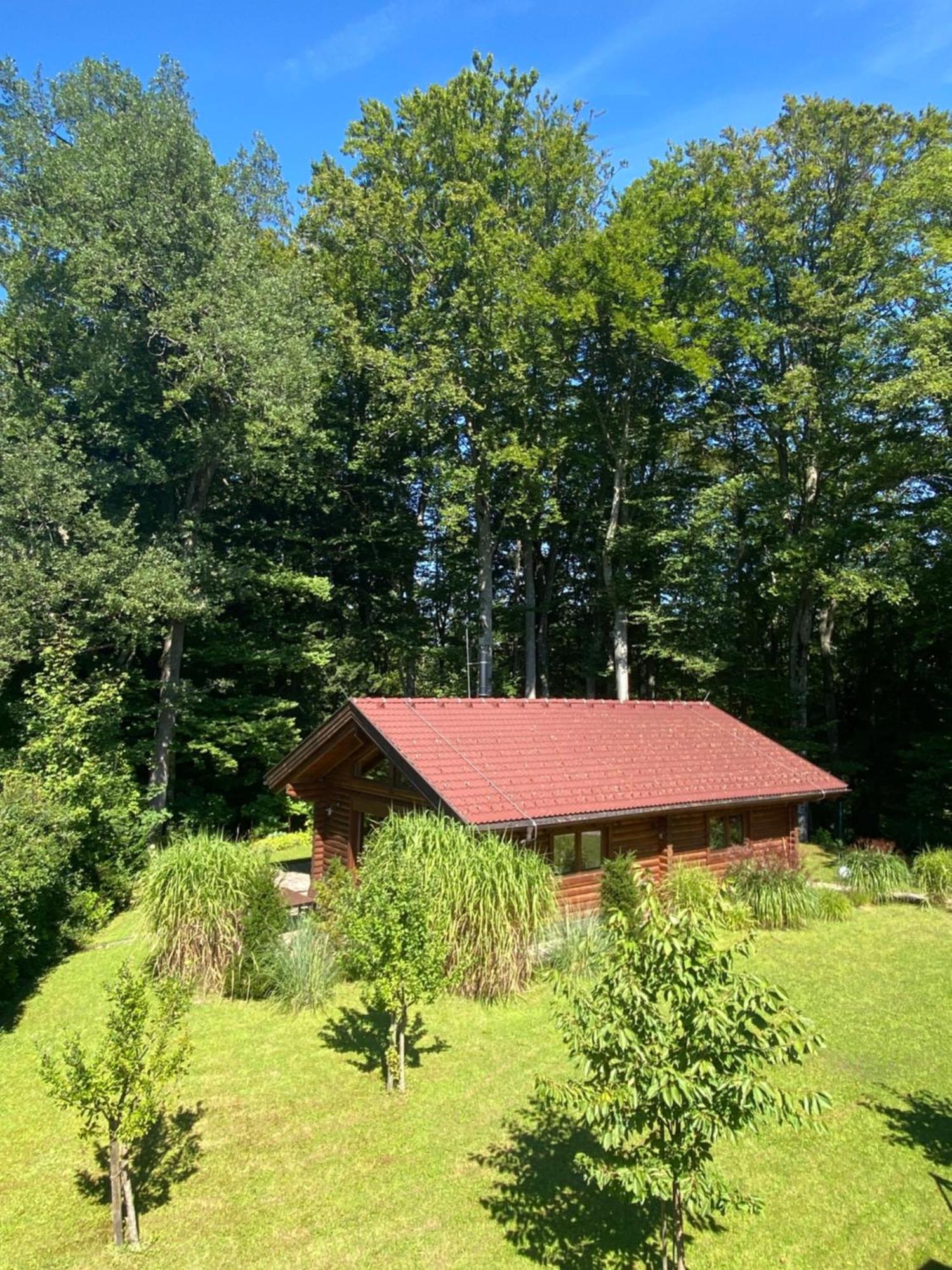 Huette Am Wald Villa Hof bei Salzburg Dış mekan fotoğraf