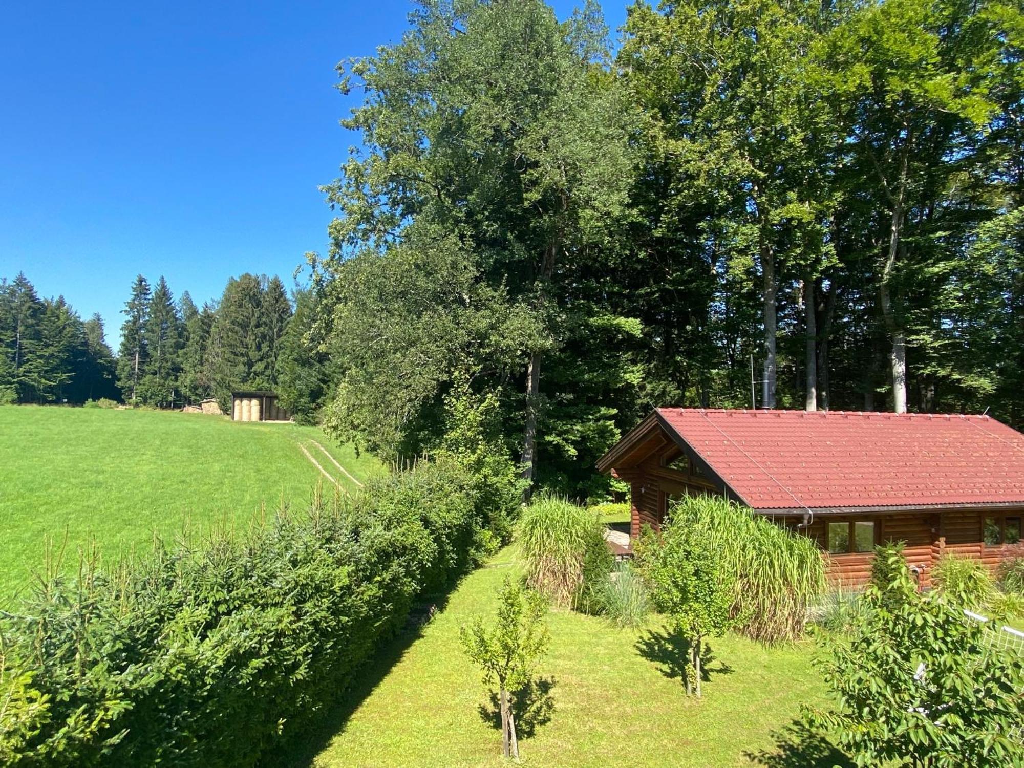 Huette Am Wald Villa Hof bei Salzburg Dış mekan fotoğraf