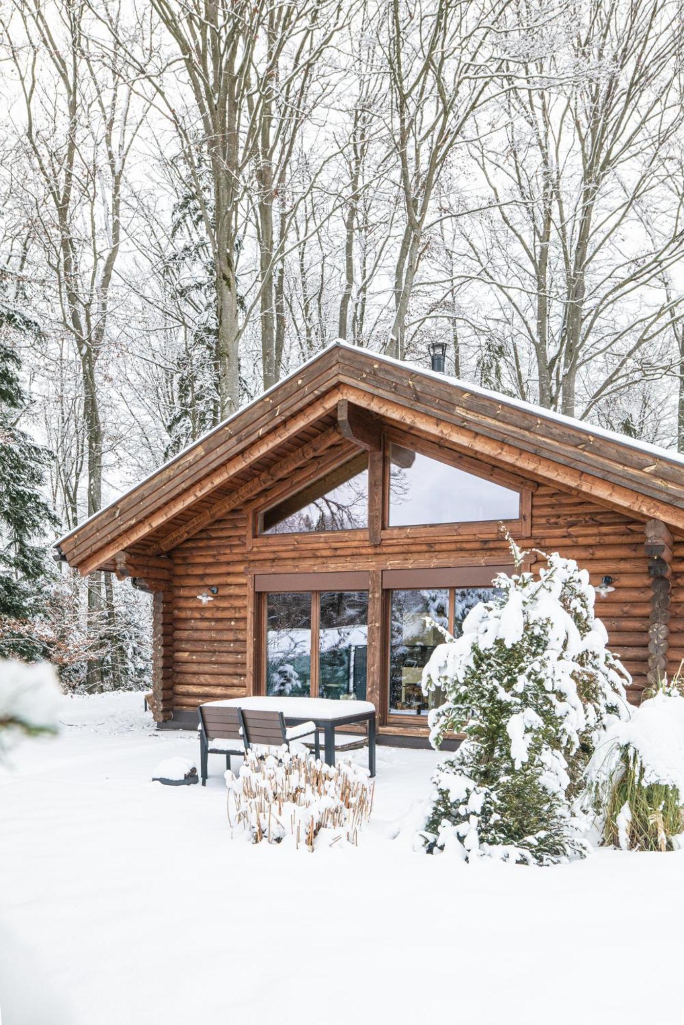 Huette Am Wald Villa Hof bei Salzburg Dış mekan fotoğraf